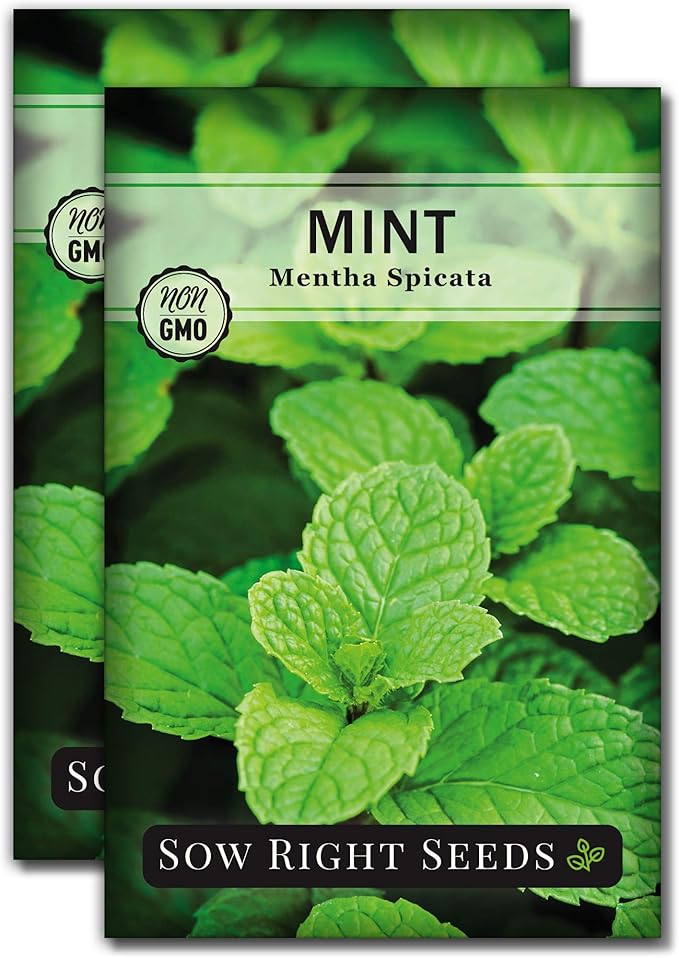 Sow Right Seeds - Mint Seed for Planting - Non-GMO Heirloom Packet with Instructions to Plant an Herbal Tea Garden - Indoors or Outdoor - Perennial and Fragrant - Hydroponics and Kitchen Gardening (2)