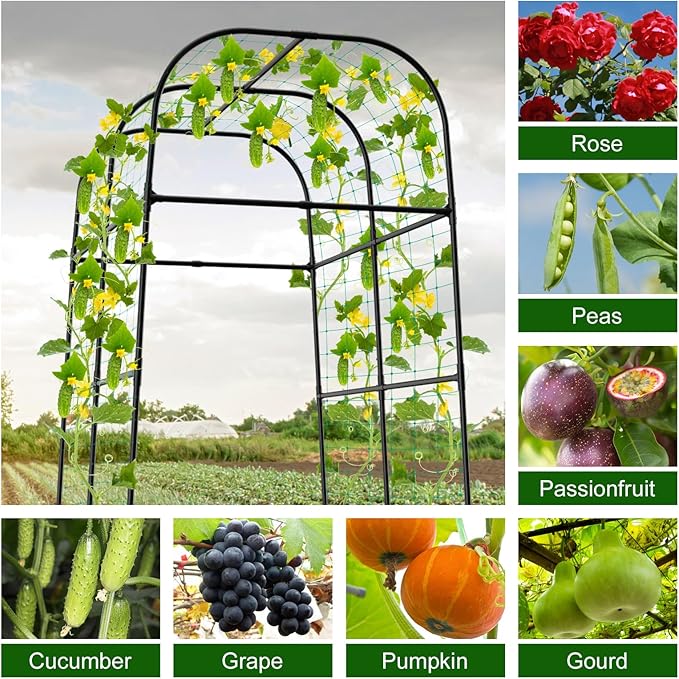 7ft Cucumber Trellis for Raised Bed, Garden Arch Trellis for Climbing Plants Outdoor Indoor, Metal Trellis Support with Net for Vegetables Tomato Zucchini Squash Beans Peas Melons, Rose Flowers,Vines