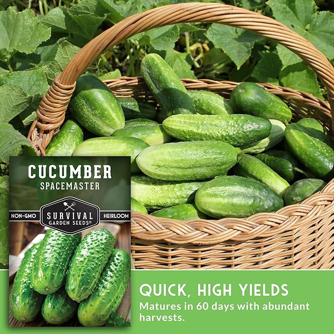 Spacemaster Cucumber Seeds for Planting | Compact Heirloom Non-GMO Variety for Small-Space Gardens – Survival Garden Seeds (5 Packs)
