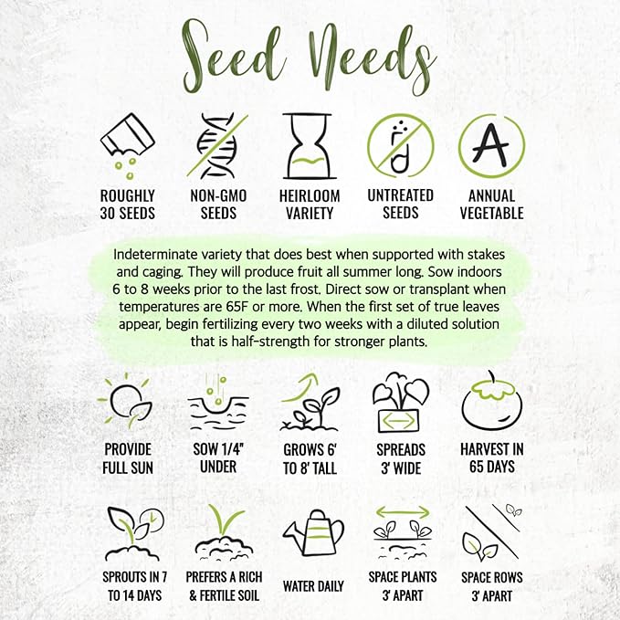 Seed Needs Tomato Seeds for Planting Black Cherry Tomatoes - Non-GMO Heirloom & Untreated Indeterminate Variety to Plant a Home Grown Outdoor Vegetable Garden (5 Packs)