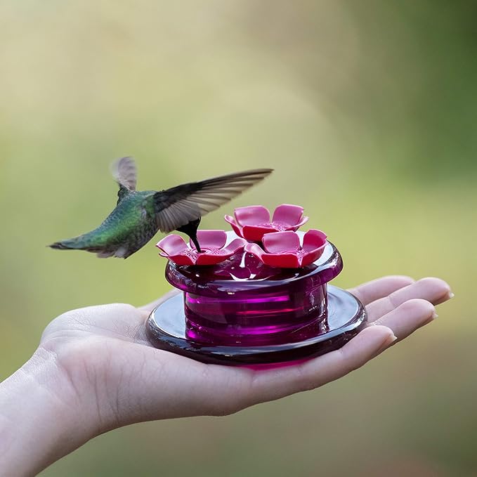 Perky-Pet 9100 Handheld & Tabletop Hummingbird Feeder - 4 Pack