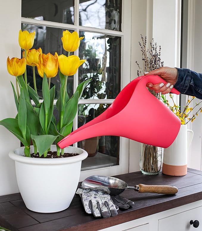 The HC Companies 1/2 Gallon Essential Watering Can, Watermelon