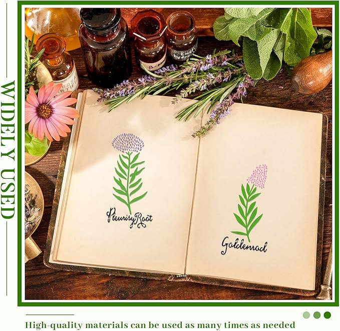 Jecery 20 Pcs Herb Stencils for Craft Painting on Wood Reusable DIY Craft Paint Template Herb Botanical Leaf Garden Kitchen Plant Stencils for Art Scrapbook Wall(5.91 x 3 Inches)