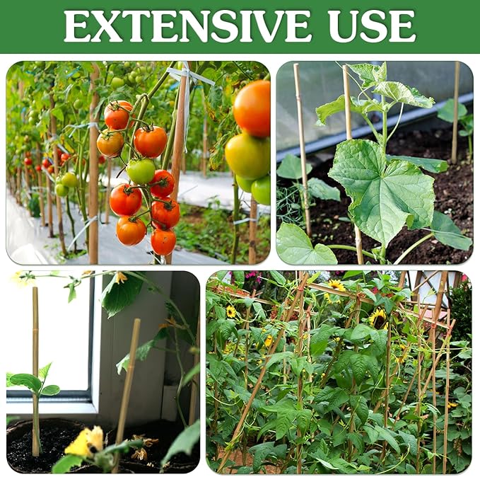 Plant Stakes,25Pcs Bamboo Stakes,3 FT Natural Bamboo Plant Support Stakes,Bamboo Stakes for Indoor and Outdoor Plants Tomatoes Beans Flowers Potted Plants Climbing Support