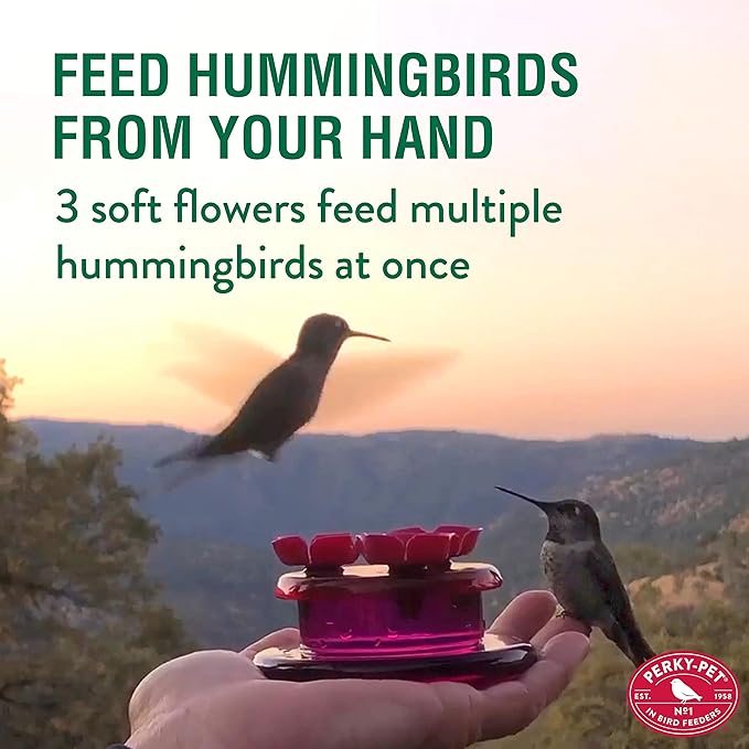 Perky-Pet 9100 Handheld & Tabletop Hummingbird Feeder - 4 Pack