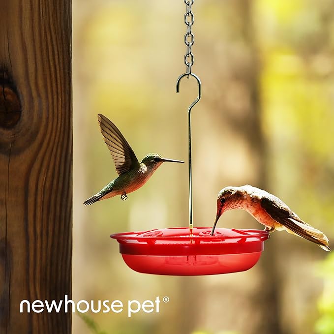 Newhouse Pet Hummingbird Tray Feeder NHP-HUMTRY-RD, Hummingbird Feeder for Outdoors, Easy-to-Clean Leak-Proof and Ant-Proof Tray for Patio Decor or Outdoor Décor