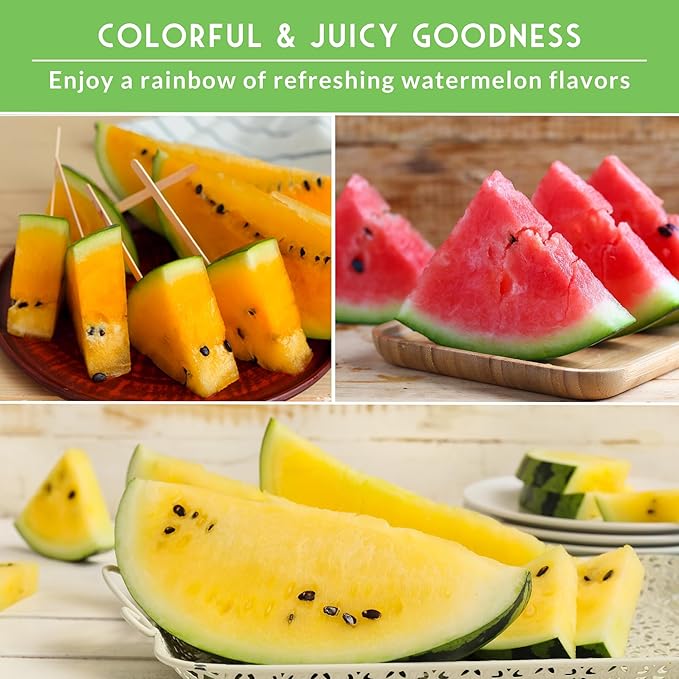 Tri-Color Watermelon Seeds for Planting – Heirloom Variety Pack: Crimson Sweet, Yellow Petite, & Tendersweet Orange – 3-Variety Watermelon Collection by Survival Garden Seeds