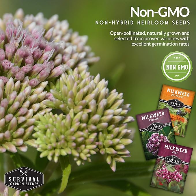 Survival Garden Seeds Milkweed Collection Seed Vault – Butterfly, Common & Rose (Swamp) Milkweed for Monarchs – Non-GMO Heirloom Seeds for Planting & Growing in a Pollinator Garden