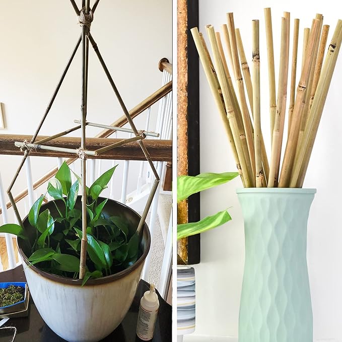 50Pcs Garden Stakes, 0.32”/ 2Feet Bamboo Sticks，Natural Plant Stakes for Indoor and Outdoor Plants，Poles for Tomatoes, Beans, Potted Plants…