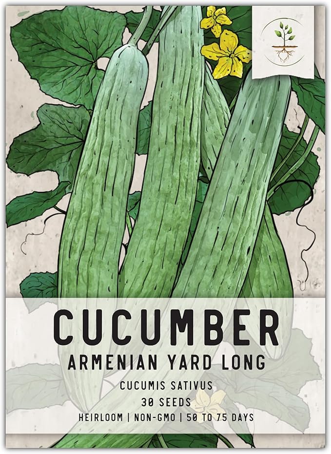 Seed Needs Cucumber Seeds for Planting Armenian Yard Long Cucumbers - Heirloom Non-GMO & Untreated - Snake Melon/Serpent Cucumber to Plant a Home Grown Outdoor Vegetable Garden (1 Pack)