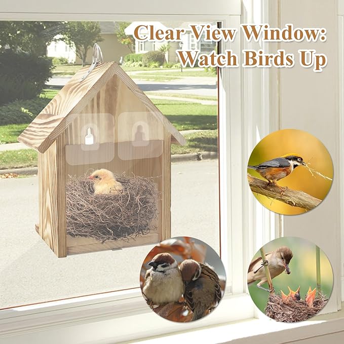 Window Bird Houses for Outside with 2 Powerful Hooks, Hanging Bird House for Viewing Inside, Wooden Hummingbird Houses to Paint for Outdoors, Bird Nesting Box for Bluebird Finch Chickadee