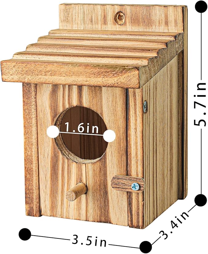 Humming Bird Houses for Outdoor Hanging Small Bird Nesting Box - Wood Nest for Robin, Hummingbird, Parakeet, Bluebird - Perch House for Outdoors Birdhouse Birds - Made of Pine Wood