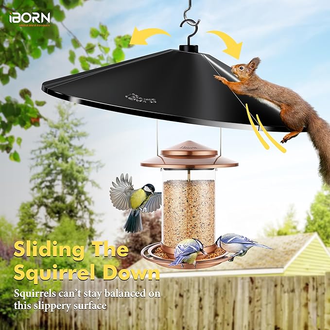 iBorn Bird Feeder Squirrel Guard, Polycarbonate(PC) Oversize Squirrel Baffle Defender for Hanging, Birds Feeder for Outdoors Protector,19.5 Inch,Pack of 1, Black (Bird Feeder is not Included)
