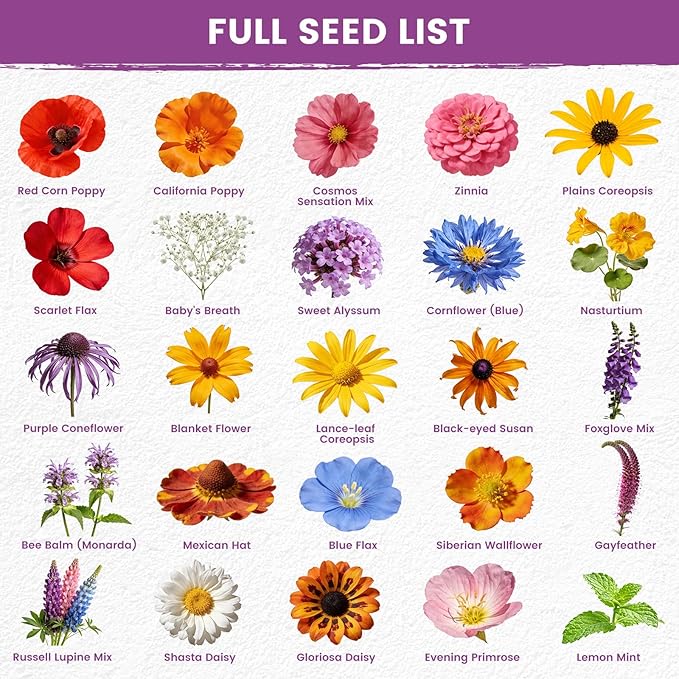 Wildflower Seeds Bulk Mix - 10,000+ Non-GMO Perennial & Annual Seeds - Texas, California & Florida Native Wildflower Seeds for Hummingbirds, Butterflies, & Cut Flowers - Cosmos, Throw and Grow