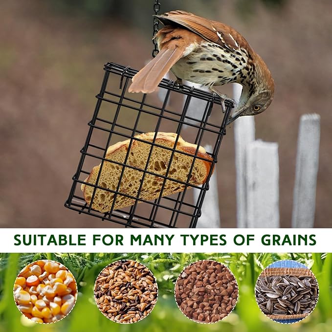 Zhehao 6 Pcs Suet Bird Feeders Outdoor, Hanging Wild Bird Feeder with Single Cake Capacity, Weatherproof Metal Suet Feeder for Garden Yard Outside Decoration, Easy to Clean & Hang (Black)