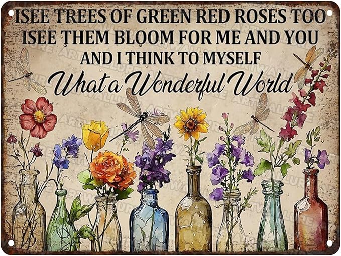 Dragonfly Vintage Tin Sign What A Wonderful World Flowers Gardens Metal Tin Sign Wall Decor I See Trees of Green Red Rose Too 12x16inch