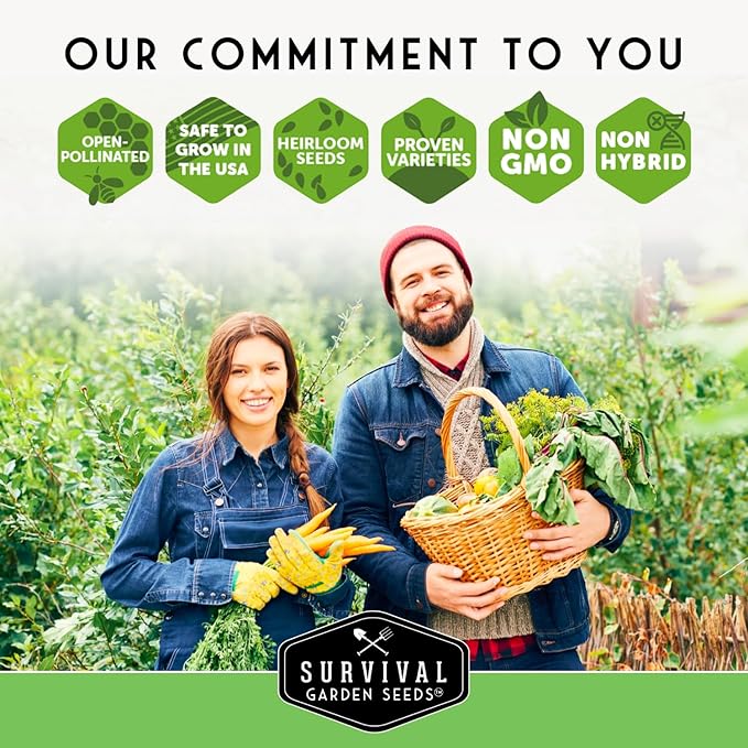 Southern Giant Mustard Green Seeds for Planting – Heirloom Non-GMO Spicy Greens, Heat Tolerant and Slow to Bolt for Home Vegetable Gardens - Survival Garden Seeds (5 Packs)