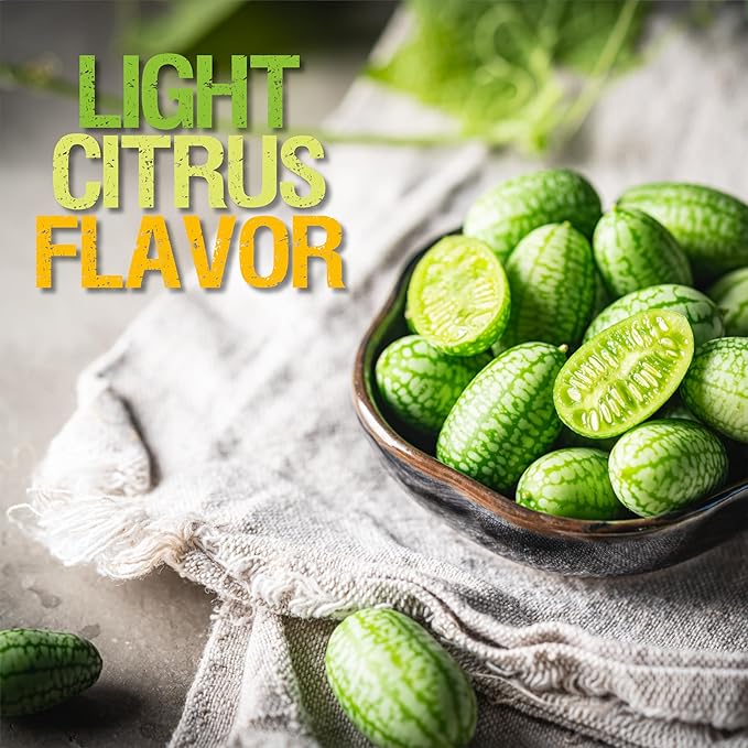 Seed Needs Cucamelon Seeds for Planting Mexican Sour Gherkin Miniature Mouse Melons - Non-GMO Heirloom & Untreated - Grow a Home Grown Indoor Outdoor Vegetable Garden (1 Pack)