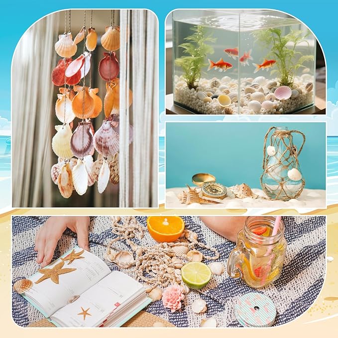 Mixed Sea Shells, 150+ Pcs Beach Seashells Starfish, Various Sizes Ocean Seashells for Fish Tank Vase Fillers, Beach Theme Party Wedding Decor, Candle Making, DIY Crafts