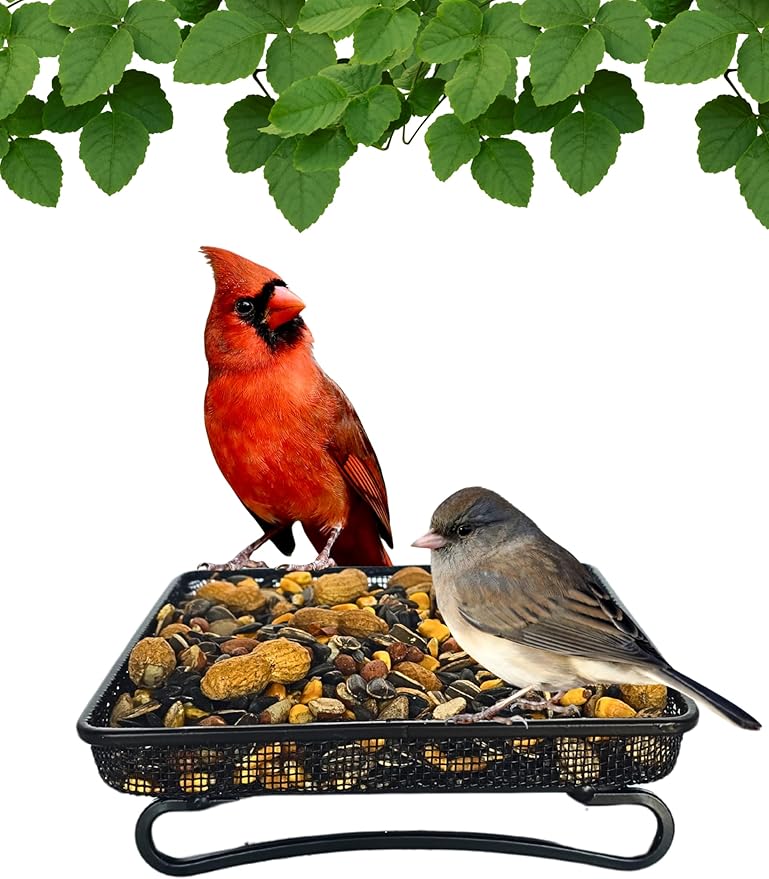 Wildlife and Bird Feeder, Deck and Ground Tray Feeder for Birds, Squirrels, Chipmunks, and Rabbits
