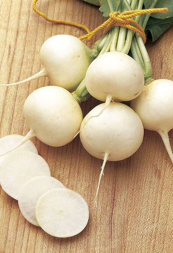 Burpee Burpee White Radish Seeds 300 seeds