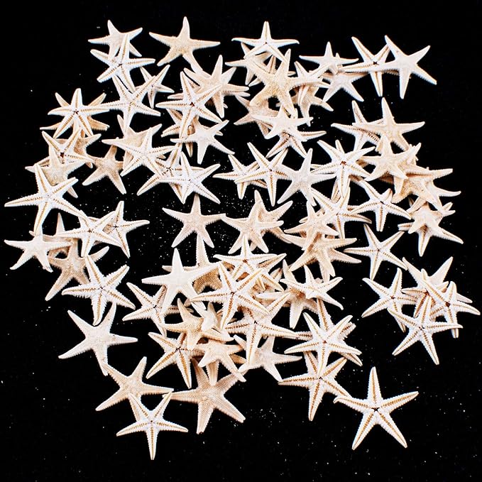 Super Z Outlet Tiny Miniature Fairy Garden Beach Critter Starfish Marine Life Collection for Arts & Crafts Projects, Decorations, Party Favors, Invitations - 90 Pieces
