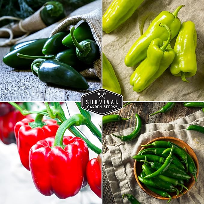 4 Variety Pack Pepper Seed Collection | Jalapeño, Serrano, Cubanelle & California Wonder | Heirloom Non-GMO Hot & Sweet Peppers | Survival Garden Seeds