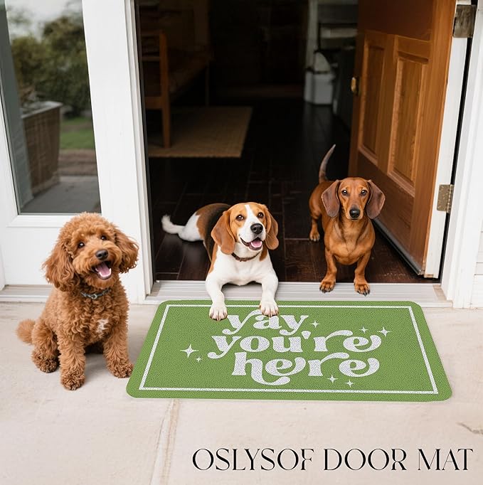 Funny Green Door Mat, Yay You're Here Doormat for Front Door Indoor Outdoor Porch Entrance Entryway, Funny Welcome Mat Outside, 17x30 Inches