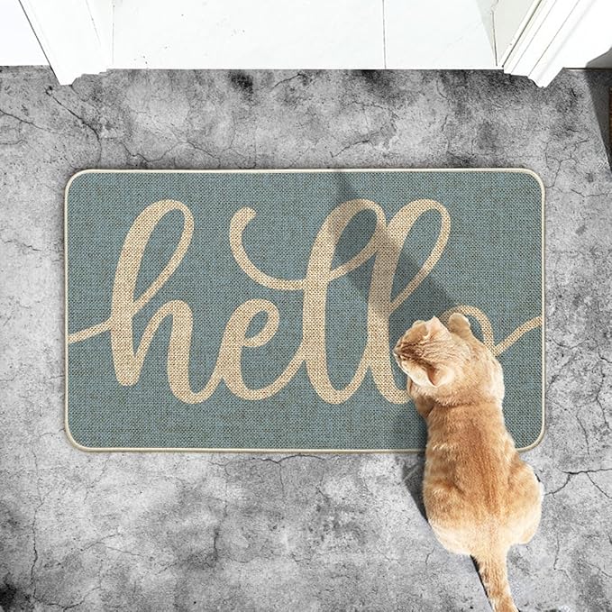 Artoid Mode Blue Hello Winter Doormat, Christmas Home Decor Low-Profile Switch Rug Door Mat Floor Mat for Indoor Outdoor 17x29 Inch