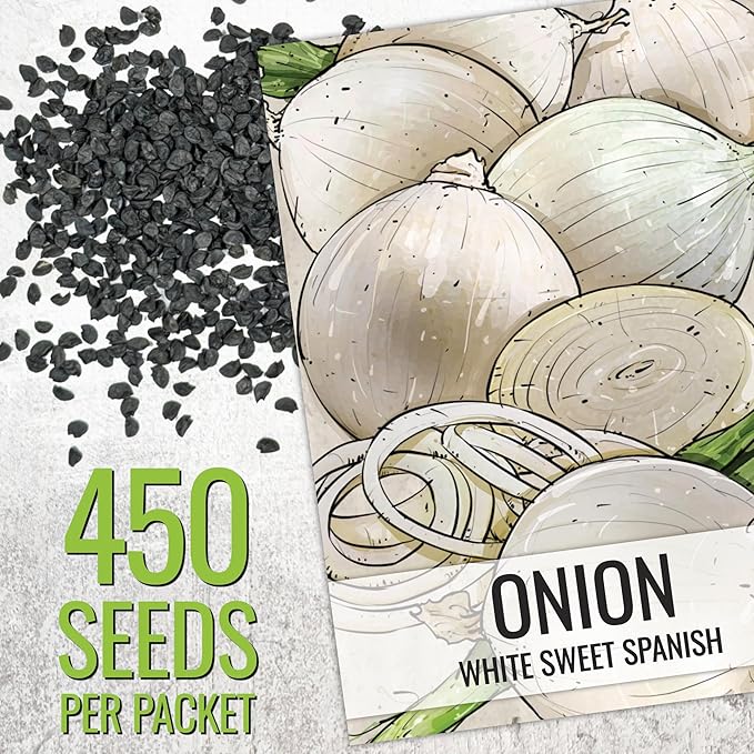 Seed Needs Onion Seeds for Planting White Sweet Spanish Long Day Onions - Non-GMO Heirloom & Untreated Vegetable Seeds to Plant an Outdoor Home Grown Veggie Garden (2 Packs)
