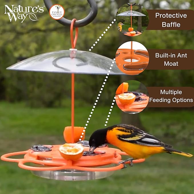 Nature's Way OFP1 All-in- Oriole Buffet Bird Feeder,Orange,(Pack of 6)