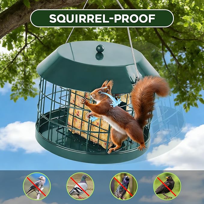 Caged Suet Bird Feeder for Outdoors Hanging, Squirrel Proof Double Suet Feeder for Small Birds, Metal Cage with Detachable Hook, Large Space, Outdoors Weatherproof, Green