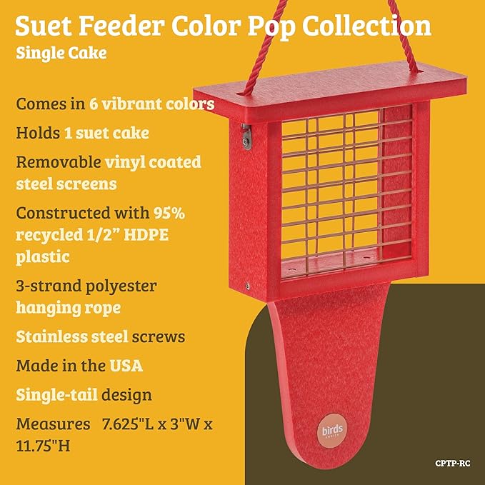 Birds Choice Suet Feeder with Tail Prop, Holds 1 Suet Cake | Hanging Suet Bird Feeder with Roof, Woodpeckers, Jays, Nuthatches | Sturdy for Garden & Backyard | Taupe & Green, 8" L x 3" W x 12" H