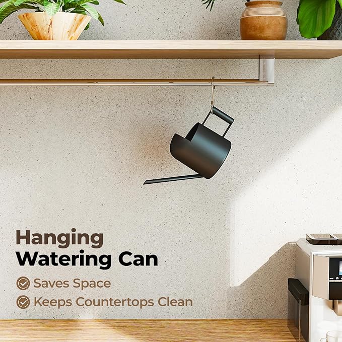 Bamworld Small Watering Can Indoor Outdoor Plant Black Metal Stainless Steel Long Spoutt Flowers Watering Cans for House Garden Plants 10OZ Watering Bottle Cute Decorative for Bonsai