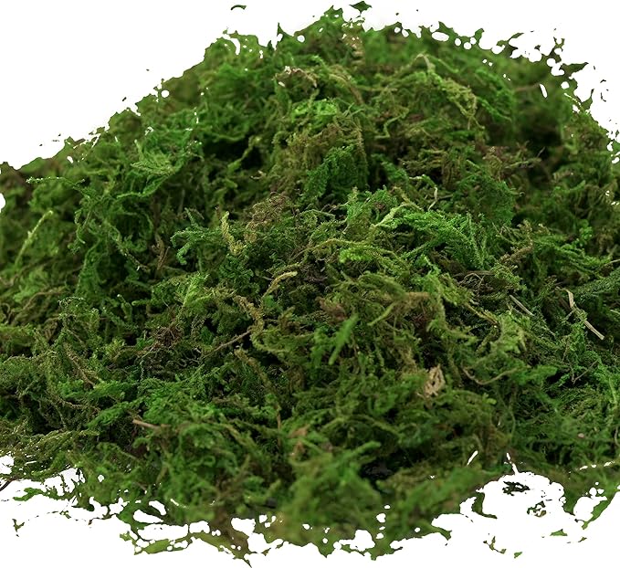 Artificial Moss, 16OZ Fake Moss for Crafts, Decorative Centerpieces, Fairy Garden, Wedding Party Decor, Faux Potted Plants, 455gr (Fresh Green)