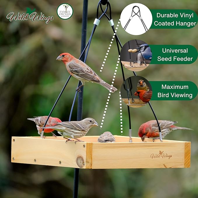 Wild Wings Cedar Tray Bird Feeder | Universal Seed | For Cardinals & Jays | Rust-Free Hardware | Pack of 4