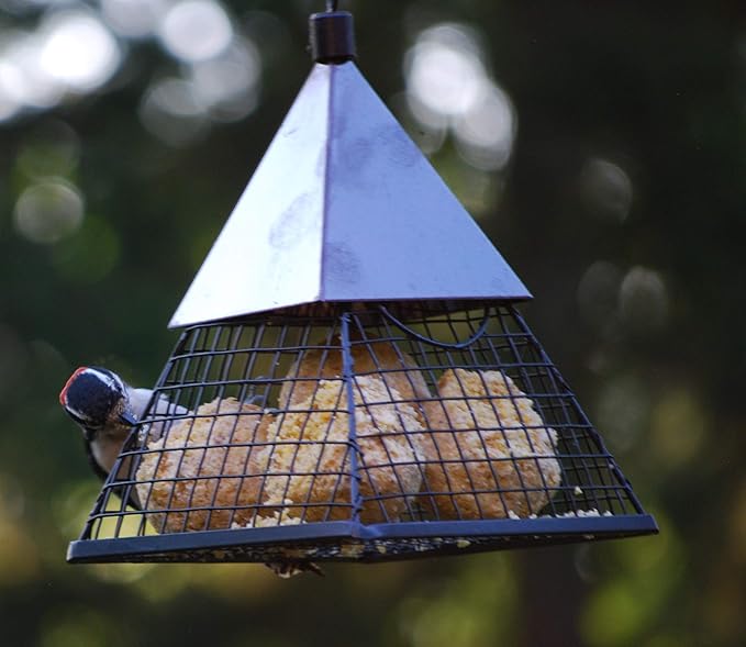 Suet Ball Feeder and Suet Ball Variety Combo Pack | Geo Pyramid Feeder with 16 Suet Balls