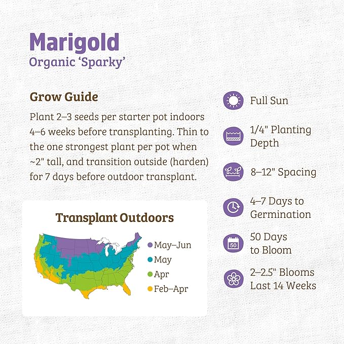 Back to The Roots 100% Organic Heirloom Seeds - Marigold Flower Value Pack (500mg Total)