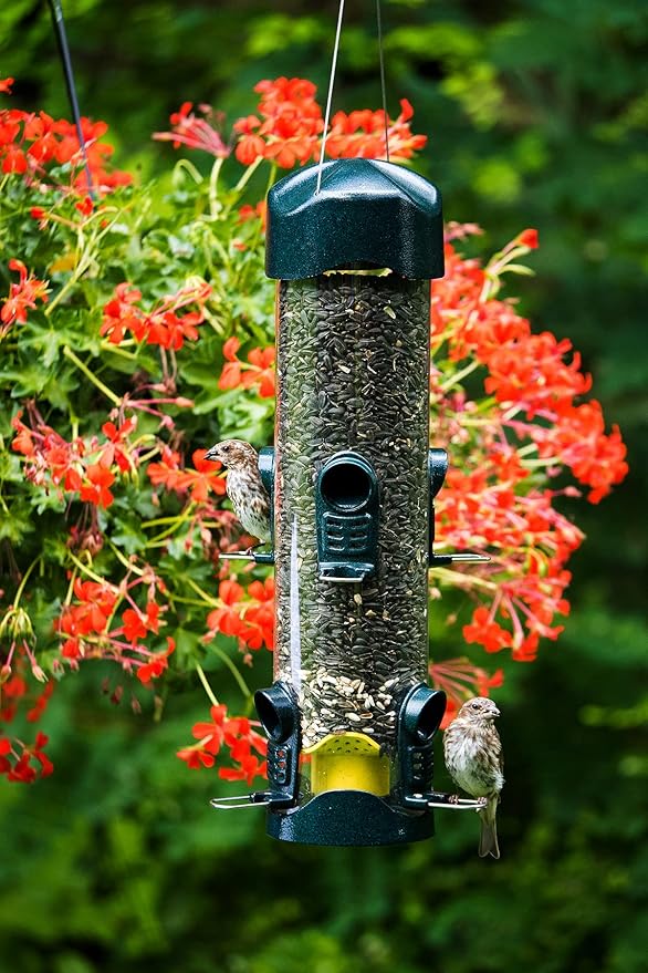 Brome Mega 600 Bird Feeder – Large Capacity Tube Feeder for Wild Birds, 6 Feeding Ports, 4 lb Seed Capacity, Easy to Clean, Metal Ports, Extendable Perches