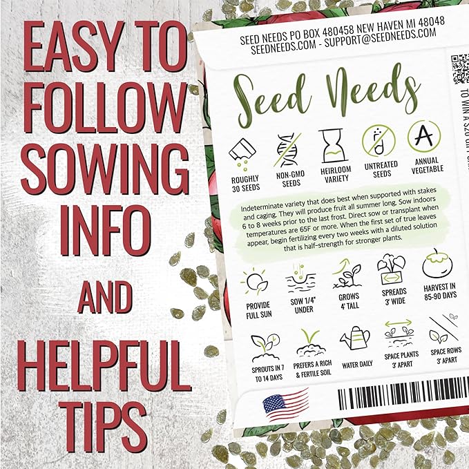 Seed Needs Tomato Seeds for Planting Indeterminate True Beefsteak Tomatoes - Non-GMO Heirloom & Untreated Vegetable Seed to Plant a Home Grown Outdoor Veggie Garden (5 Packs)