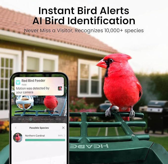 Smart Bird Feeder with Camera Solar Powered 2K HD Video, 10,000+ Species AI Recognition, Real-Time App Alerts, and Weatherproof Design for Effortless Birdwatching, Gift for Bird Lovers, Orange
