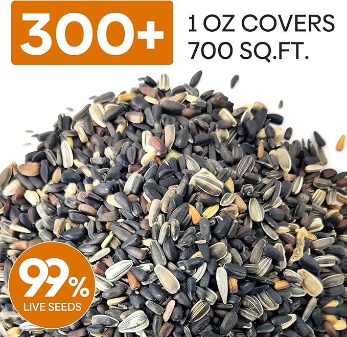 Sunflower Seeds for Planting, 15+ Varieties, 1 Oz, 300+ Mixed Seeds to Plant Colored Sunflower for Outdoors, Garden, Attracts Pollinators