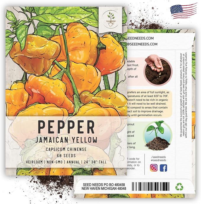 Seed Needs Hot Pepper Seeds for Planting Jamaican Yellow Chile Peppers - Non-GMO Heirloom & Untreated Vegetable Seed to Plant an Outdoor Home Grown Veggie Garden (1 Pack)