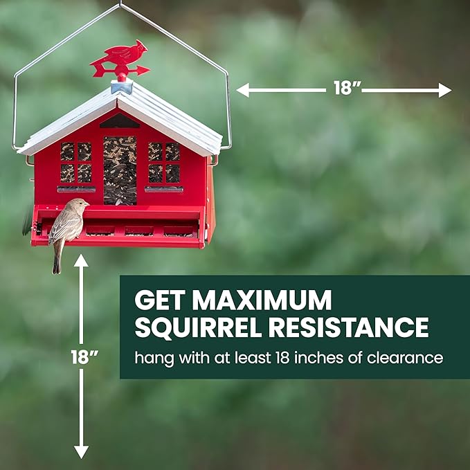 Perky-Pet Squirrel-Be-Gone II Country House Bird Feeder with Weathervane - 8 lb Seed Capacity - Squirrel Proof Wild Bird Feeder for Outdoors - Durable Construction - Rustic Outdoor Decor - 338, Red