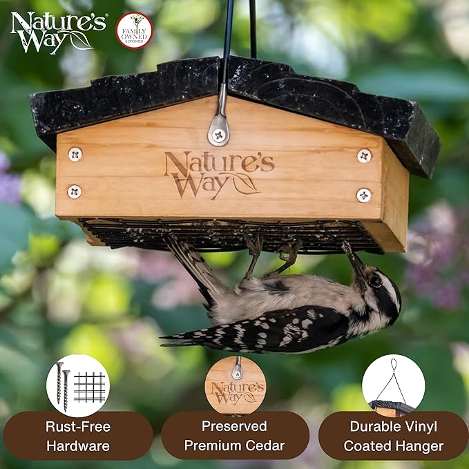 Nature's Way Bird Products CWF2 Cedar Suet Upside-Down Bird Feeder, Black