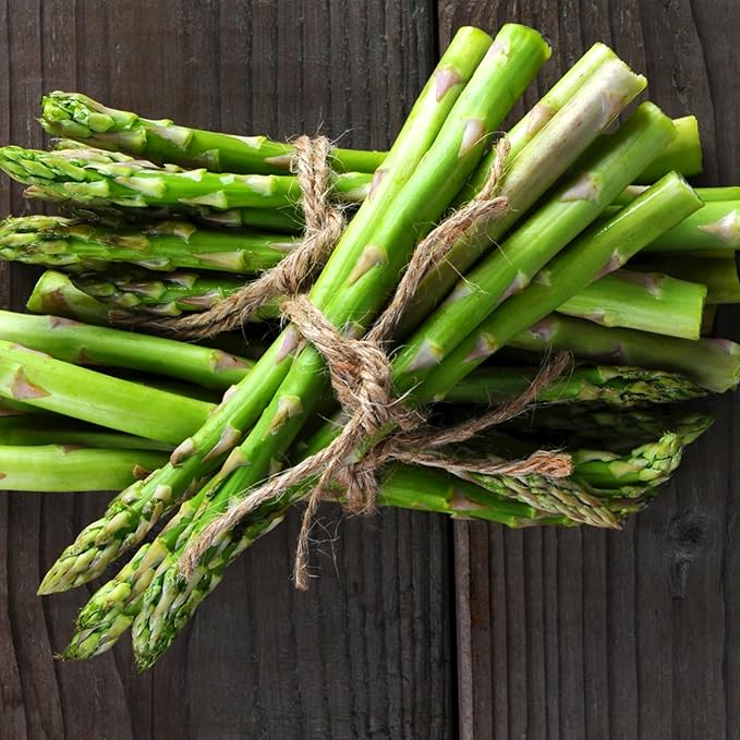 Seed Needs Asparagus Seeds for Planting Mary Washington Asparagus - Non-GMO Heirloom & Untreated Perennial Vegetable Seed to Plant an Outdoor Home Grown Garden (5 Packs)