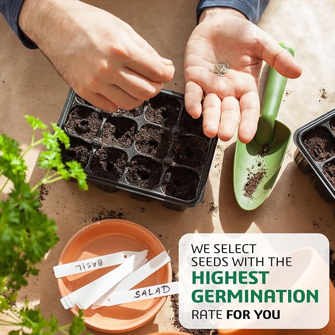 10 Kit Non-GMO Growing into Thyme, Lavender, Chamomile, Dill, Chives, Cilantro, Rosemary, Basil, Parsley, Sage Indoor/Outdoor for Kitchen Windowsill Gardening Gift
