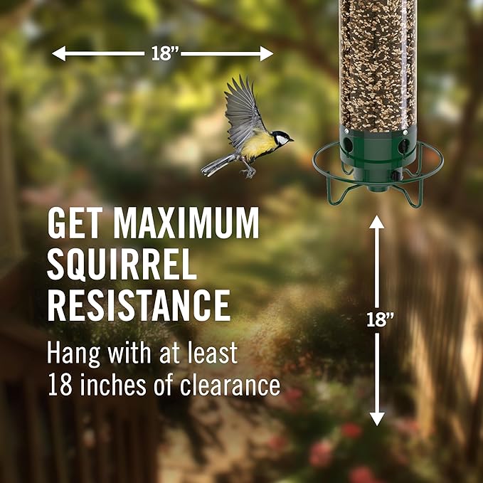 Droll Yankees Squirrel Proof Bird Feeders for Outdoors - YF-M - Flipper, Collapsible Perches, 5-Pound Seed Capacity, Green