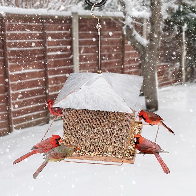 Bird Feeder, Heavy Duty Metal Bird Feeders for Outdoor Hanging, 5LB Extra Large Capacity Wild Birdfeeder for Garden Yard Outside Backyard