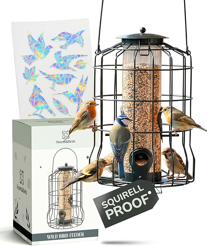 Hearts&Birds Squirrel Proof Bird Feeder Outdoors Hanging with Anti Collision Window Stickers for Birds - 360° Feeding Perch with Large Capacity for Wren Finches Chickadees Cardinal Wild Birds